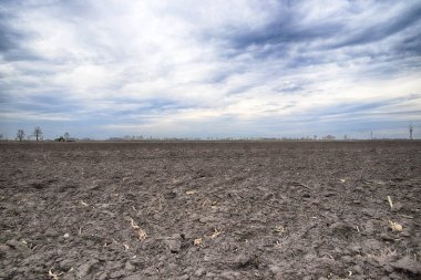 Tarlayı ekime hazırlıyorum. Bahar zamanı sürülmüş toprak.