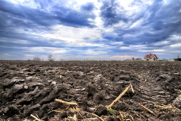 Tarlayı ekime hazırlıyorum. Bahar zamanı sürülmüş toprak.