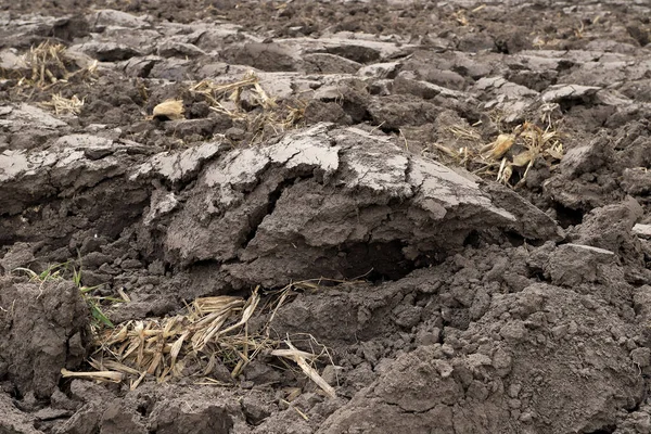 Preparing Field Planting Plowed Soil Spring Time — Stock Photo, Image