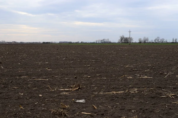 Tarlayı ekime hazırlıyorum. Bahar zamanı sürülmüş toprak.