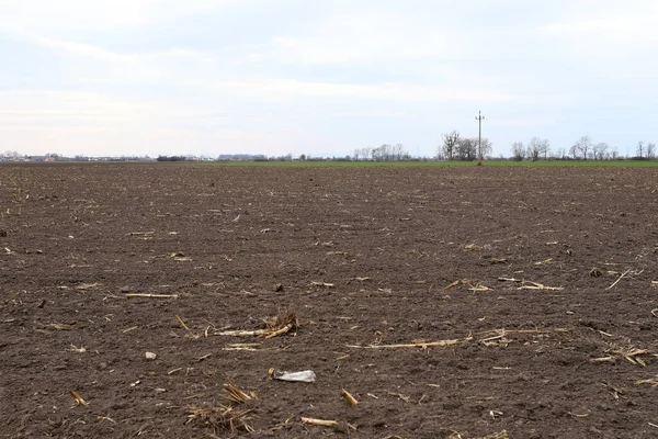 Tarlayı ekime hazırlıyorum. Bahar zamanı sürülmüş toprak.
