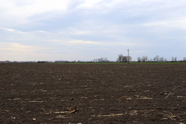 Tarlayı ekime hazırlıyorum. Bahar zamanı sürülmüş toprak.