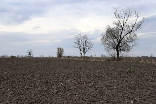 Tarlayı ekime hazırlıyorum. Bahar zamanı sürülmüş toprak.