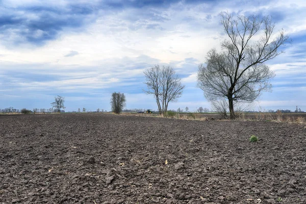 Tarlayı ekime hazırlıyorum. Bahar zamanı sürülmüş toprak.