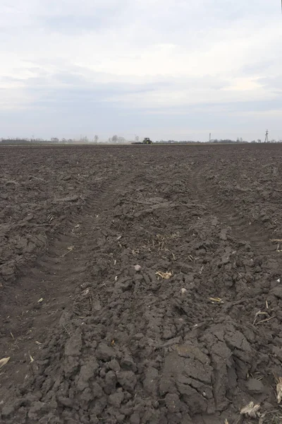 Tarlayı ekime hazırlıyorum. Bahar zamanı sürülmüş toprak.