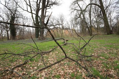 Wroclaw, POLAND - 11 Nisan 2021: Wroclaw, Polonya yakınlarındaki Komorowice Sarayı. Baharın başında güzel bir saray parkı.