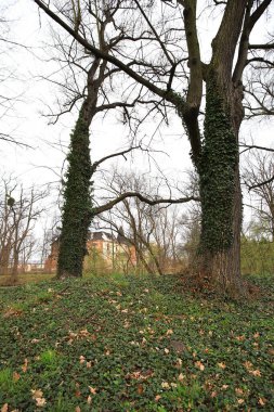 Wroclaw, POLAND - 11 Nisan 2021: Wroclaw, Polonya yakınlarındaki Komorowice Sarayı. Baharın başında güzel bir saray parkı.