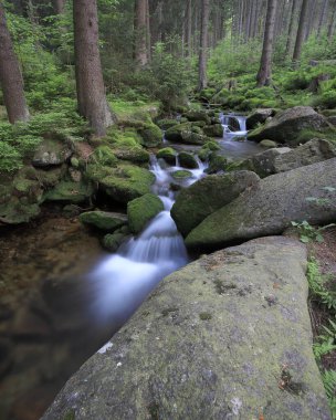 Swieradowka - Izera Dağları 'nda bir dağ deresi, Polonya, Avrupa.