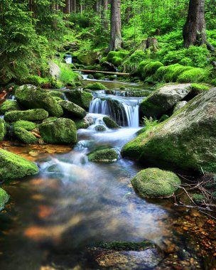 Swieradowka - Izera Dağları 'nda bir dağ deresi, Polonya, Avrupa.