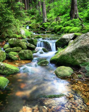 Swieradowka - Izera Dağları 'nda bir dağ deresi, Polonya, Avrupa.