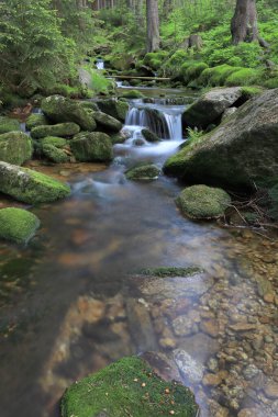 Swieradowka - Izera Dağları 'nda bir dağ deresi, Polonya, Avrupa.