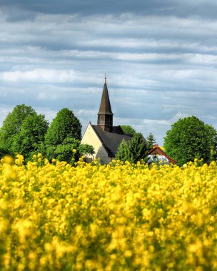 WROCLAW, POLAND - 24 Mayıs 2021: Gogolow 'daki St. Martin Kilisesi Sleza Dağı eteklerinde, çiçek açan tecavüz tarlalarıyla çevrili.