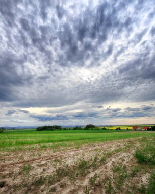 Sleza Peyzaj Parkı, Sleza Dağı eteklerinde, Polonya 'nın güneybatısında, Avrupa.