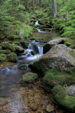 Swieradowka (Almanca: Steinbach), Polonya 'nın güneybatısında, İzera Dağları' nda Aşağı Silezya eyaletinde bir dağ deresi..