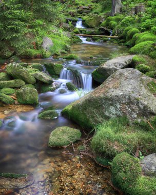 Swieradowka (Almanca: Steinbach), Polonya 'nın güneybatısında, İzera Dağları' nda Aşağı Silezya eyaletinde bir dağ deresi..