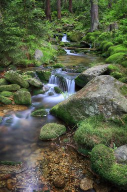 Swieradowka (Almanca: Steinbach), Polonya 'nın güneybatısında, İzera Dağları' nda Aşağı Silezya eyaletinde bir dağ deresi..