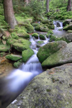 Swieradowka (Almanca: Steinbach), Polonya 'nın güneybatısında, İzera Dağları' nda Aşağı Silezya eyaletinde bir dağ deresi..