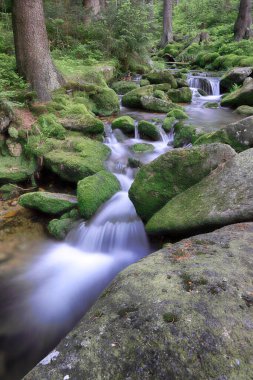 Swieradowka (Almanca: Steinbach), Polonya 'nın güneybatısında, İzera Dağları' nda Aşağı Silezya eyaletinde bir dağ deresi..