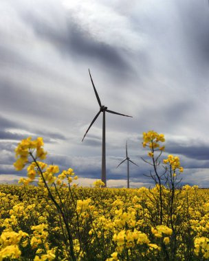 Yel değirmeni sahada. Wroclaw yakınlarındaki Gaj Olawski rüzgar çiftliği, Polonya, Avrupa.