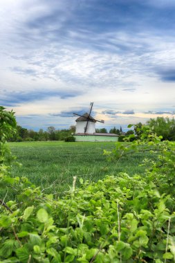 WROCLAW, POLAND - 24 Mayıs 2021: Polonya, Avrupa 'nın güneybatısındaki Sleza Dağı' nın eteğindeki Gogolow köyünün kıyısında 1830 yılından kalma Hollanda yel değirmeni.