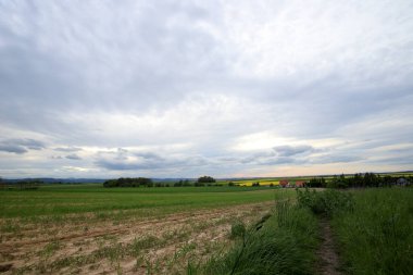 Sleza Peyzaj Parkı, Sleza Dağı eteklerinde, Polonya 'nın güneybatısında, Avrupa.