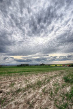 Sleza Peyzaj Parkı, Sleza Dağı eteklerinde, Polonya 'nın güneybatısında, Avrupa.