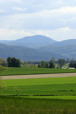 Sleza Peyzaj Parkı, Sleza Dağı eteklerinde, Polonya 'nın güneybatısında, Avrupa.