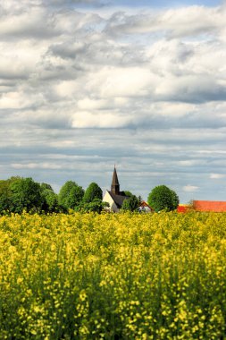 WROCLAW, POLAND - 24 Mayıs 2021: Gogolow 'daki St. Martin Kilisesi Sleza Dağı eteklerinde, çiçek açan tecavüz tarlalarıyla çevrili.