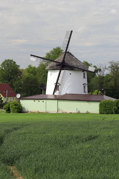 Wroclaw Πολωνία Μαΐου 2021 Ολλανδικός Ανεμόμυλος Από 1830 Στην Άκρη — Φωτογραφία Αρχείου