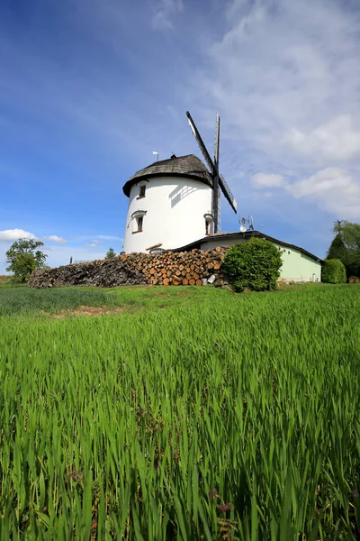 Wroclaw Lengyelország 2021 Május Holland Szélmalom 1830 Tól Gogolow Falu — Stock Fotó