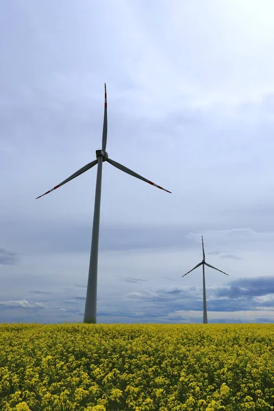 The Halo effect is an optical phenomenon in the Earth\'s atmosphere that is observed around the Sun\'s disc. It is a rainbow-colored ring that is visible around the sun. Gaj Olawski wind farm.