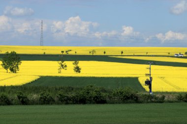 Sleza Peyzaj Parkı, Sleza Dağı 'nın eteklerinde, Polonya' nın güneybatısında, Avrupa. Bahar manzarası.