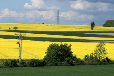 Sleza Peyzaj Parkı, Sleza Dağı 'nın eteklerinde, Polonya' nın güneybatısında, Avrupa. Bahar manzarası.