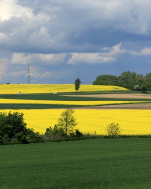 Sleza Peyzaj Parkı, Sleza Dağı 'nın eteklerinde, Polonya' nın güneybatısında, Avrupa. Bahar manzarası.