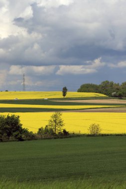 Sleza Peyzaj Parkı, Sleza Dağı 'nın eteklerinde, Polonya' nın güneybatısında, Avrupa. Bahar manzarası.
