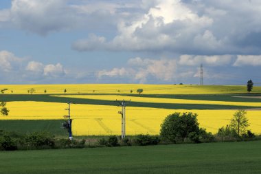 Sleza Peyzaj Parkı, Sleza Dağı 'nın eteklerinde, Polonya' nın güneybatısında, Avrupa. Bahar manzarası.