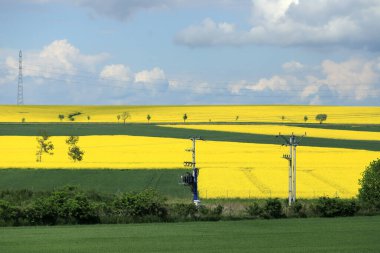 Sleza Peyzaj Parkı, Sleza Dağı 'nın eteklerinde, Polonya' nın güneybatısında, Avrupa. Bahar manzarası.