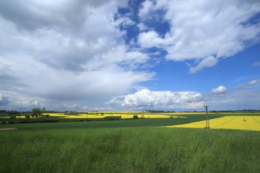Sleza Peyzaj Parkı, Sleza Dağı 'nın eteklerinde, Polonya' nın güneybatısında, Avrupa. Bahar manzarası.