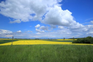 Sleza Peyzaj Parkı, Sleza Dağı 'nın eteklerinde, Polonya' nın güneybatısında, Avrupa. Bahar manzarası.