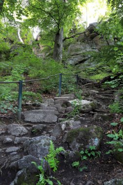 Krzyzna Gora (deniz seviyesinden 654 metre) Rudawy Janowickie bölgesinde (Polonya 'nın güneybatısındaki dağlar). Kayanın tepesine oyulmuş basamaklar var.).