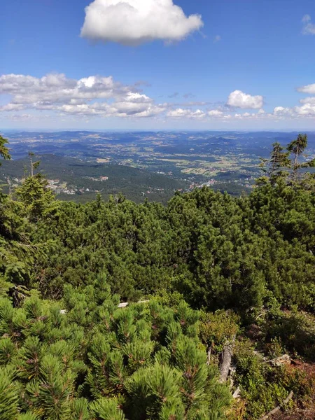Letní Pohled Hory Národním Parku Karkonosze Horská Borovice Krkonoších Polsko — Stock fotografie