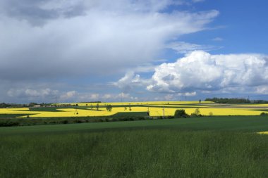 Sleza Peyzaj Parkı, Sleza Dağı 'nın eteklerinde, Polonya' nın güneybatısında, Avrupa. Bahar manzarası.