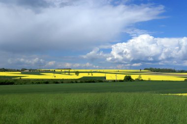 Sleza Peyzaj Parkı, Sleza Dağı 'nın eteklerinde, Polonya' nın güneybatısında, Avrupa. Bahar manzarası.
