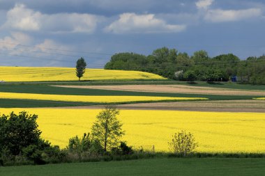 Sleza Peyzaj Parkı, Sleza Dağı 'nın eteklerinde, Polonya' nın güneybatısında, Avrupa. Bahar manzarası.