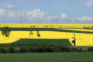Sleza Peyzaj Parkı, Sleza Dağı 'nın eteklerinde, Polonya' nın güneybatısında, Avrupa. Bahar manzarası.