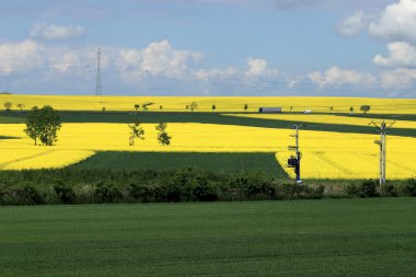 Sleza Peyzaj Parkı, Sleza Dağı 'nın eteklerinde, Polonya' nın güneybatısında, Avrupa. Bahar manzarası.