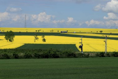 Sleza Peyzaj Parkı, Sleza Dağı 'nın eteklerinde, Polonya' nın güneybatısında, Avrupa. Bahar manzarası.