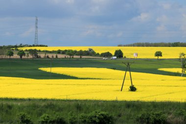 Sleza Peyzaj Parkı, Sleza Dağı 'nın eteklerinde, Polonya' nın güneybatısında, Avrupa. Bahar manzarası.