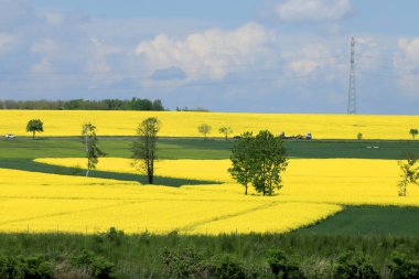 Sleza Peyzaj Parkı, Sleza Dağı 'nın eteklerinde, Polonya' nın güneybatısında, Avrupa. Bahar manzarası.