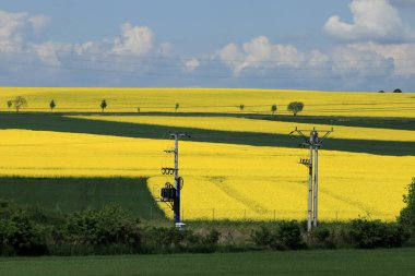 Sleza Peyzaj Parkı, Sleza Dağı 'nın eteklerinde, Polonya' nın güneybatısında, Avrupa. Bahar manzarası.